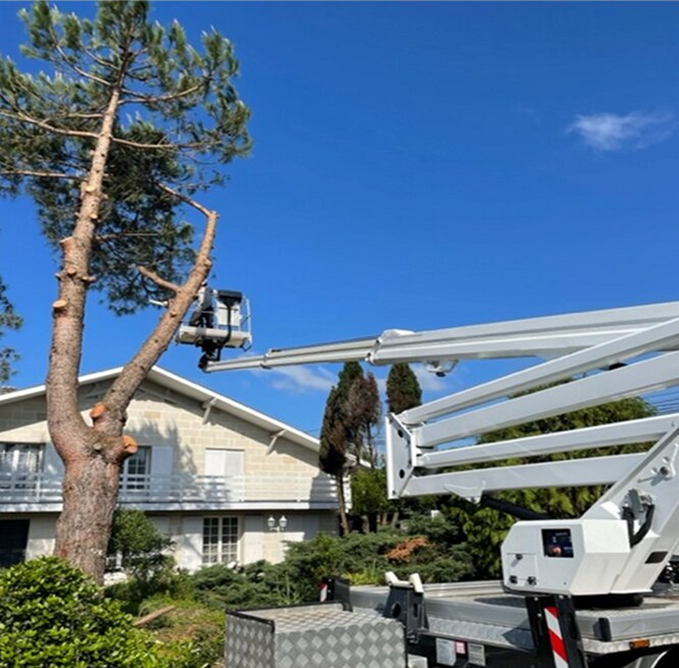 Élagage d’un pin en nacelle par l’Entreprise BES près d’une habitation
