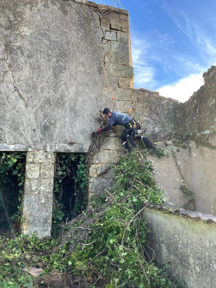 Réalisation paysagère par l’Entreprise BES - photo 15