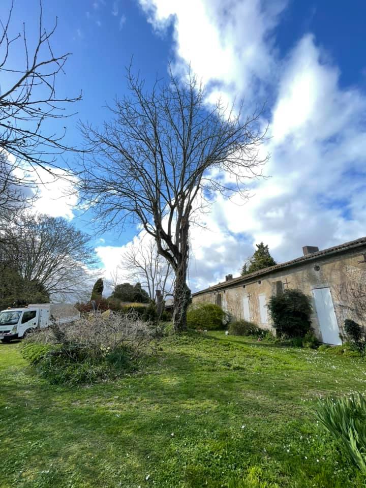 Réalisation paysagère par l’Entreprise BES - photo 19
